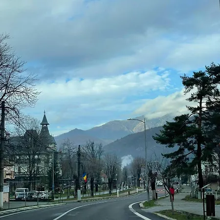 Amandalex Calimanesti
